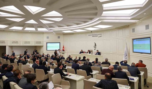 Büyükşehir Meclisi'nde Bakan Tekin'e paye, çiftçiye destek