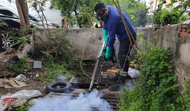 Büyükşehir'den sinek üreme alanlarında yoğun çalışma