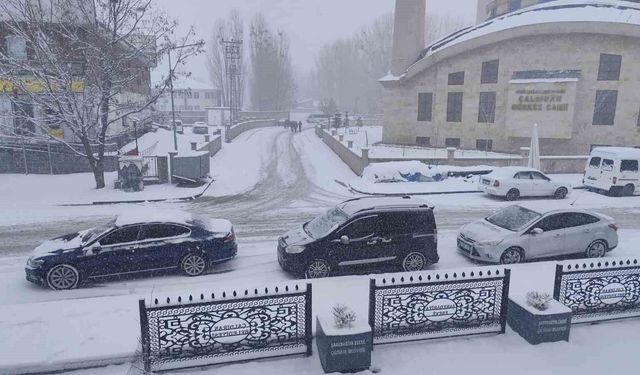 Çaldıran'da bahar beklenirken kış geri döndü