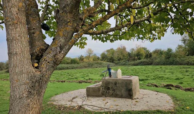 Cesedi su kuyusunda bulunan 17 yaşındaki Hasret'in katil zanlısına müebbet hapis cezası talebi