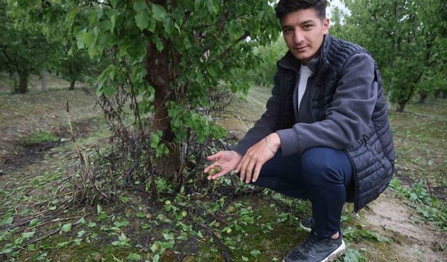Çevreyi beyaza bürüyen fındık büyüklüğündeki dolu tarım arazilerini vurdu