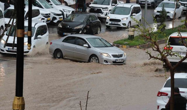 Cizre'de sağanak yağış cadde ve sokakları göle çevirdi