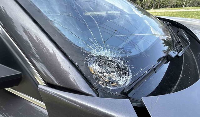 D-100'de cipin çarptığı yaşlı adam hayatını kaybetti