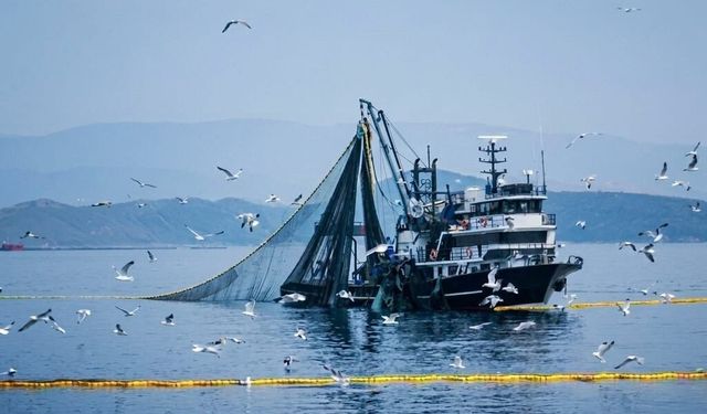 Denizlerde av yasağı 15 Nisan'da başlıyor