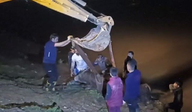 Dicle Nehri'ne düşen ineği itfaiye iş makinesiyle kurtardı