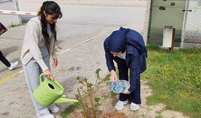 Emet MYO kampüsüne gül fidanı dikimi