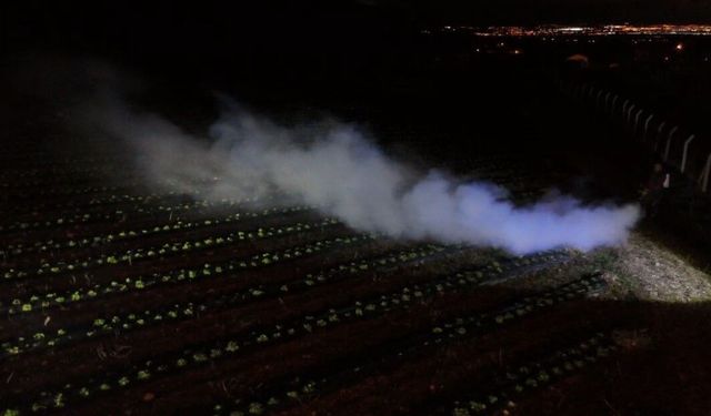 Erzincan'da 1450 rakımda don nöbeti: Üreticiler ürünlerini dumanla korudu