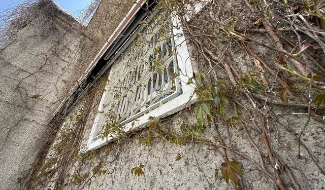 Eskişehir'de 'Sarmaşıklı Camii'nin dış cephesi yeşermeye başladı