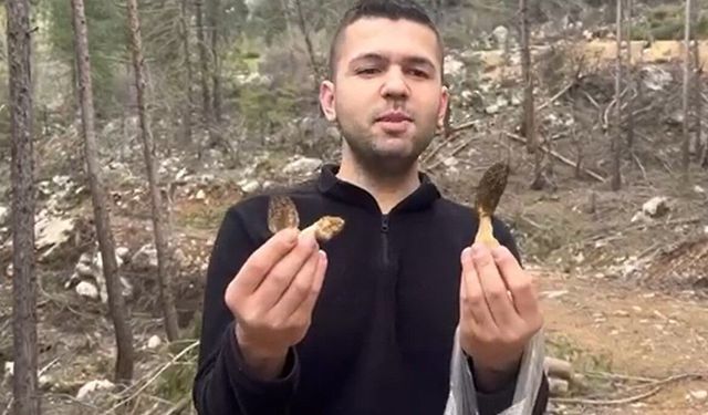 Feke'de kuzu göbeği bereketi