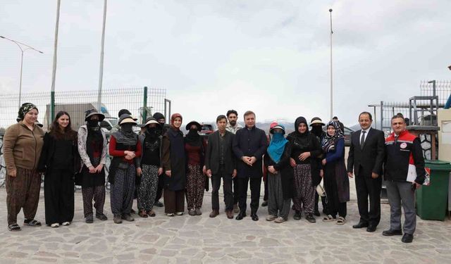 Fide üretiminde zirve Erzincan'ın