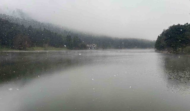 Gölcük'te kar yağışı ve sis etkili oldu