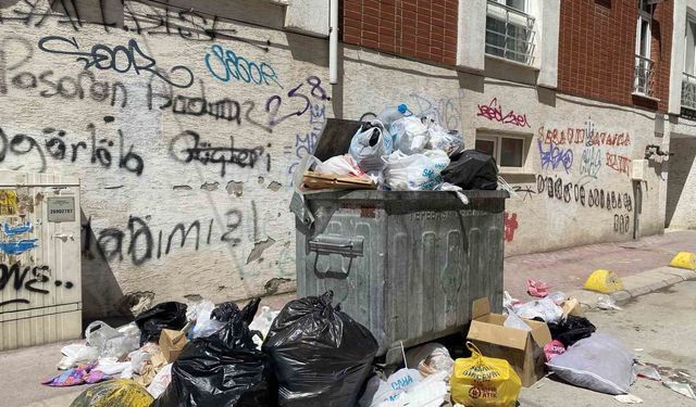 Güllük Mahallesinde yetersiz çöp konteynırı sebebiyle çöpler yollara taştı