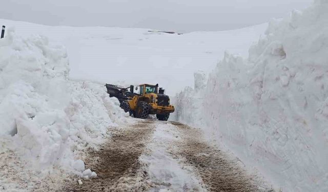 Hakkari'de 46 yerleşim yolu ulaşıma kapandı