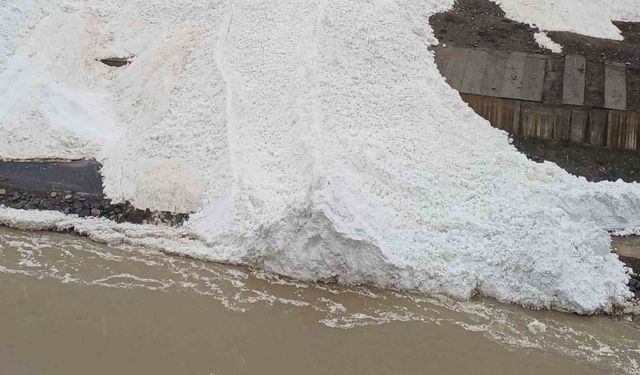 Hakkâri'de çığ: Zap Suyu'nun önünü kesti