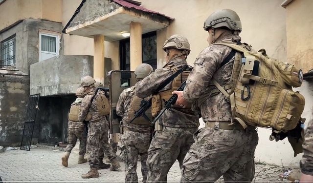 Hakkari'de kaçakçılık şebekesi çökertildi