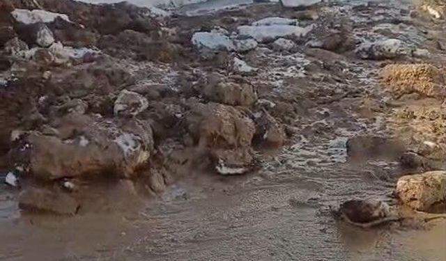 Heyelan nedeniyle kapanan Hasköy-Mutki yolu açıldı