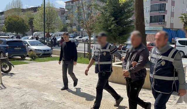 İnsan kaçakçısı tır sürücüsü tutuklandı