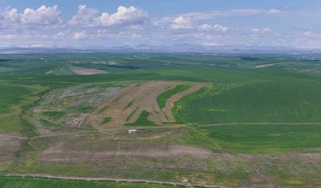 Jandarma eşliğinde ektiği 250 dönüm tarla iddiaya göre akrabaları tarafından ilaçlanarak kurutuldu
