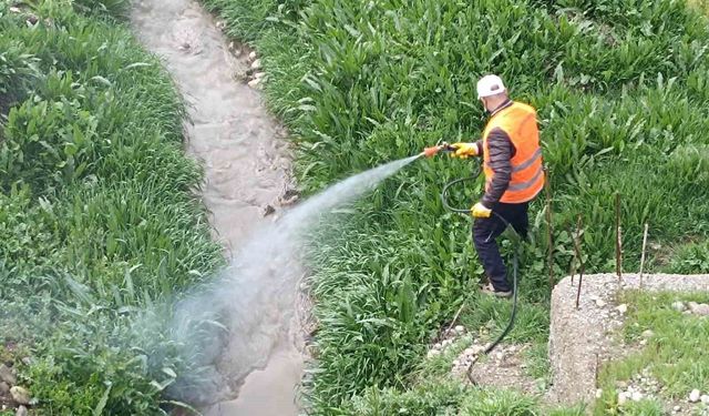 Kahta Belediyesi'nden haşerelere karşı yoğun mücadele