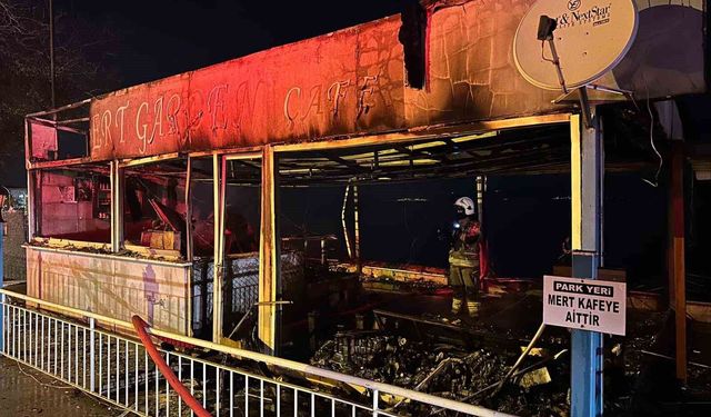 Kurşunlu Sahili'nde gece yarısı yangın paniği