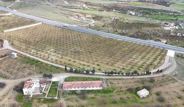 Malatya'da kayısı üreticileri zirai dona karşı önlem alıyor