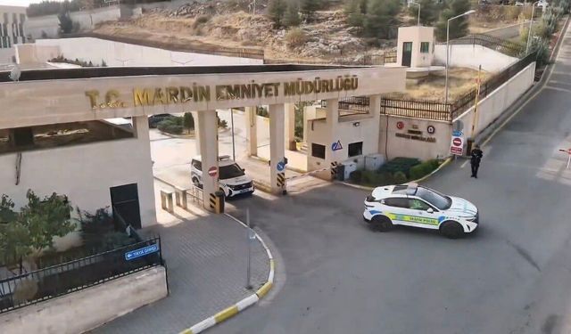Mardin'de kaçak silah operasyonu