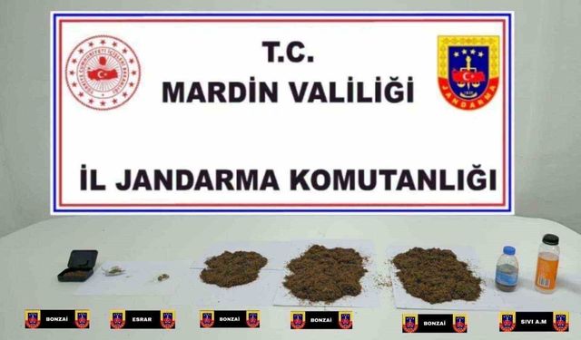 Mardin'de uyuşturucu operasyonu