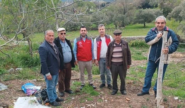 Menteşe'de çiftçiye uygulamalı eğitim