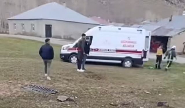 Muradiye-Çaldıran Yolunda kaza