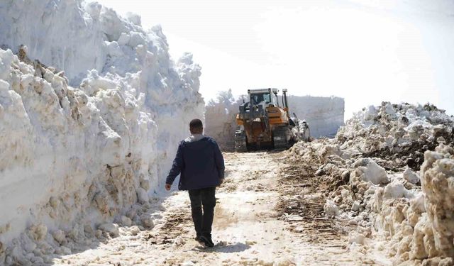 Muş'ta 5 metrelik karla zorlu mücadele
