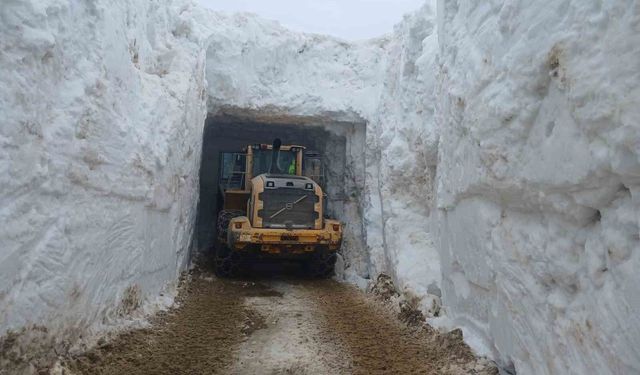 Nisan ayında 6 metreyi bulan karda yol açma çalışması