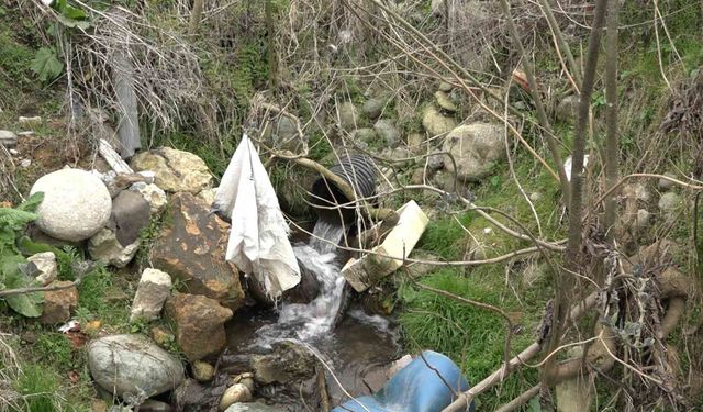 Rize'de vahşi çöp depolama sahası vatandaşları canından bezdirdi