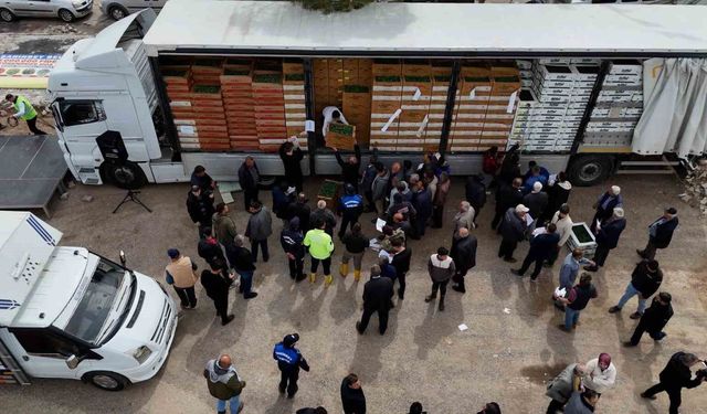 Şahinbey'de çiftçilere 5 milyon sertifikalı fide desteği verildi