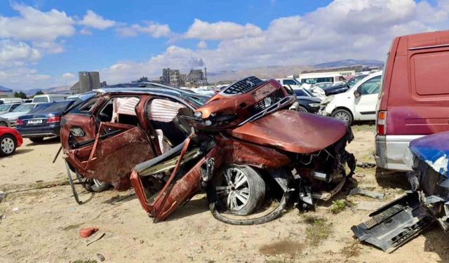Şanlıurfa merkezli 'change' araç operasyonunda 2 tutuklama