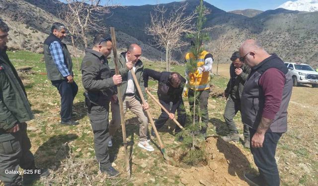 Sason'da şehitler anısına fidanlar toprakla buluşturuldu