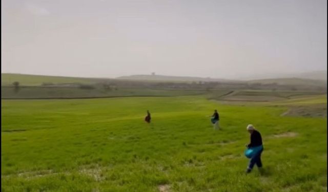 Siirt'te çiftçilerden zorlu mesai: Gübreleme eski usulle yapıldı