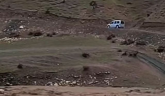 Siirt'te sağanak yağış hayvancılığı olumsuz etkiledi