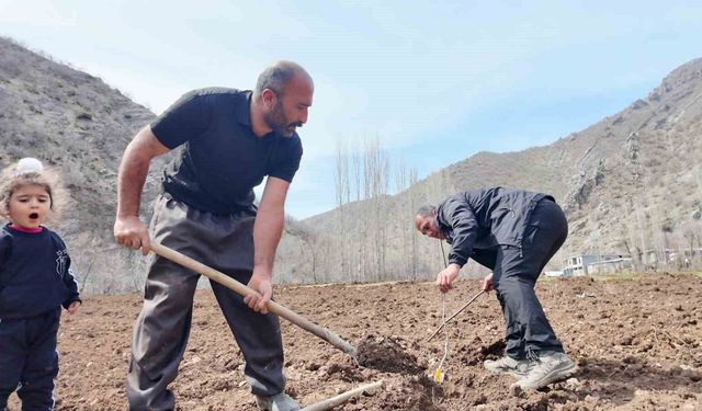 Şırnaklı çiftçi devlet desteğiyle bütün arazisine meyve fidanı dikti