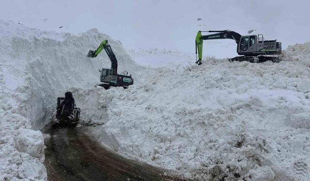 Şırnak'ta çığ düşen yolda çalışmalar devam ediyor
