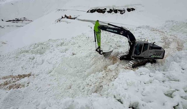 Şırnak'ta çığ düşen yolu açmak için ekipler seferber oluyor
