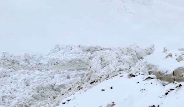 Şırnak'ta ilkbaharda kar yağışı: 2 bin 200 rakımda ikinci çığ şoku yaşandı