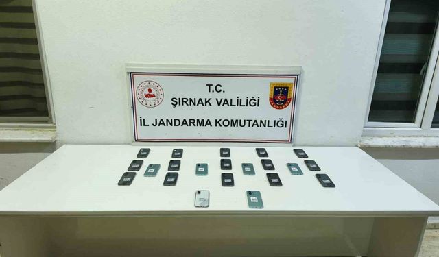 Şırnak'ta jandarma ekiplerinden 20 milyonluk kaçakçılık operasyonu