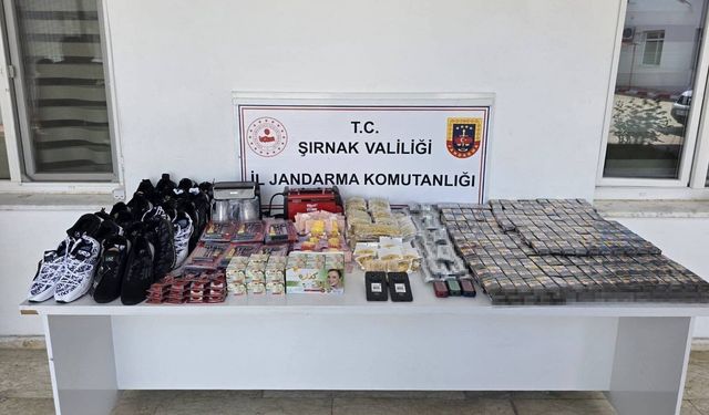 Şırnak'ta jandarmadan asayiş, kaçakçılık ve narkotik operasyonu