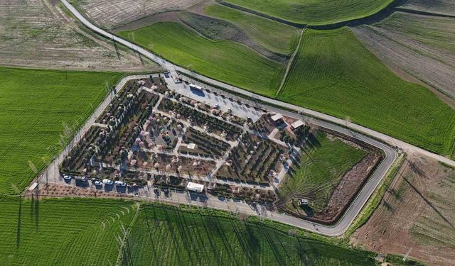 Sunurlu'nun minik meclis üyeleri fidan dikti