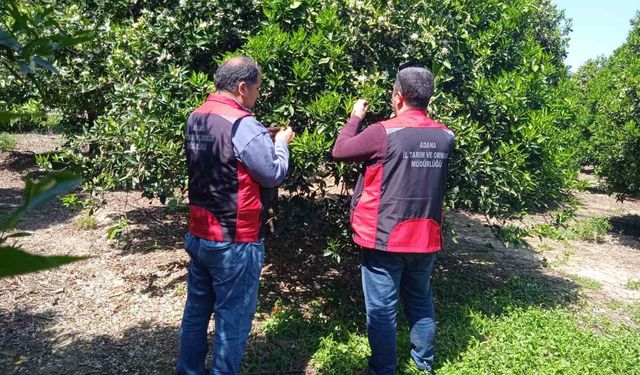 Tarımda biyolojik mücadele seferberliği