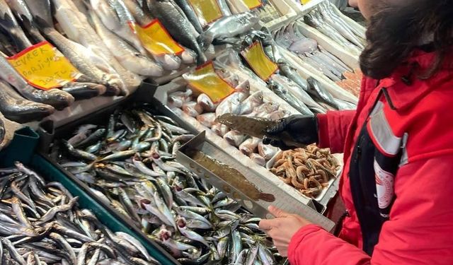 Tekirdağ'da su ürünleri denetimi