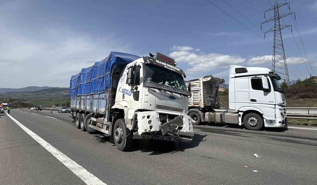 TEM'de tırdan kopan lastik kamyonun altına girdi