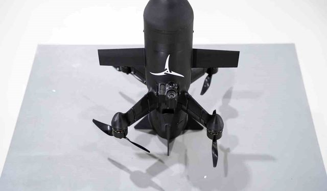 Türk firma, düşman İHA'larını avlayacak 'avcı dron' geliştirdi