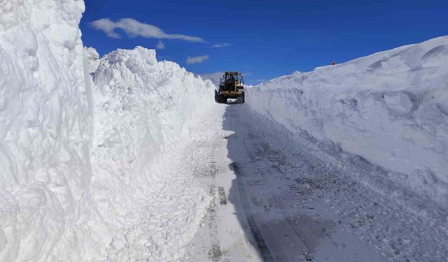 Van'da 5 metreyi bulan karda yol açma çalışması