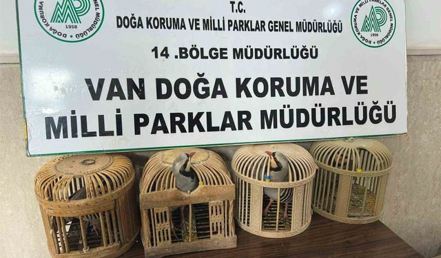 Van'da keklik avlayan şahsa 86 bin 278 lira para cezası